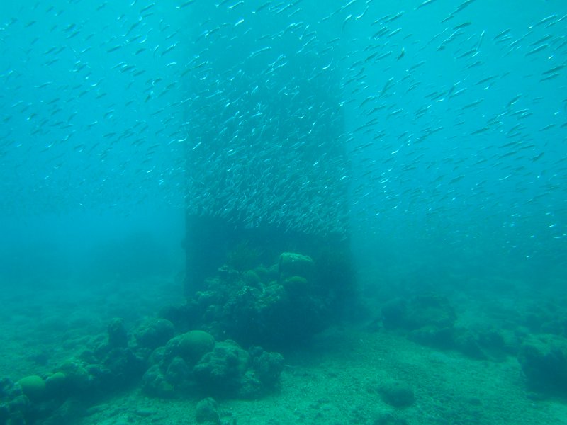 Curacao 04-12 043.JPG
